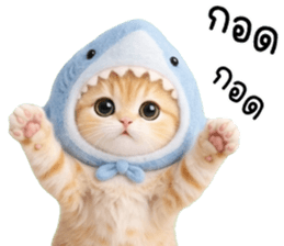 ลายที่ 37