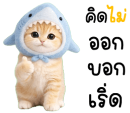 แมวน้อยน่ารัก 100% รูปที่ 23