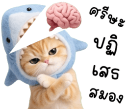 ลายที่ 53