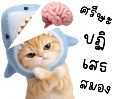 ลายที่ 27