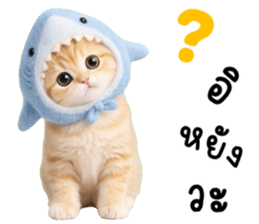 ลายที่ 57