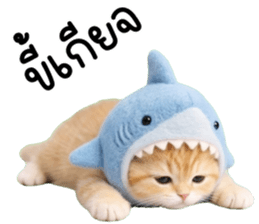 ลายที่ 61