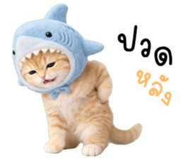 ลายที่ 63