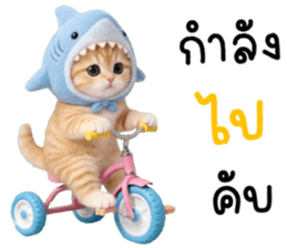 ลายที่ 65