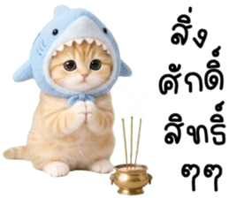 แมวน้อยน่ารัก 100% รูปที่ 34