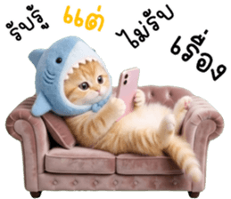 ลายที่ 71