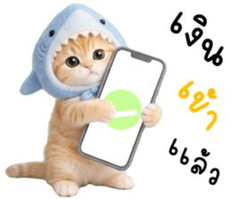 ลายที่ 75