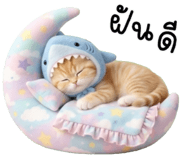 ลายที่ 77