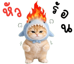 ลายที่ 79