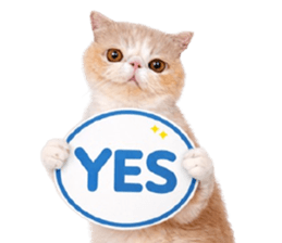 ลายที่ 27