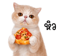 ลายที่ 55