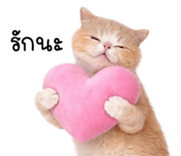 ลายที่ 57