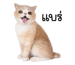 ลายที่ 59