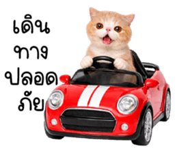 ลายที่ 61