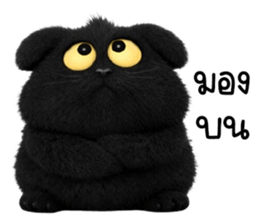 ลายที่ 41