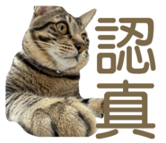 836021013