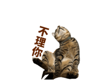 836021017