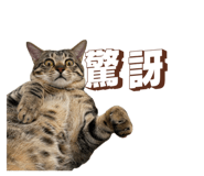 836021021