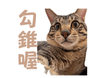 836021022