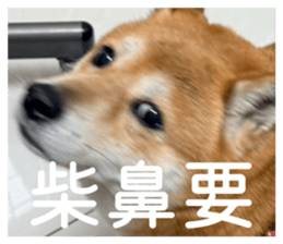 836021869