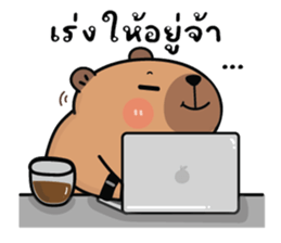 ลายที่ 11