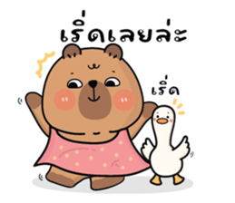 ลายที่ 23