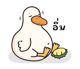 ลายที่ 25