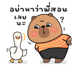 ลายที่ 31