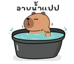 ลายที่ 35