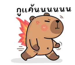 ลายที่ 41