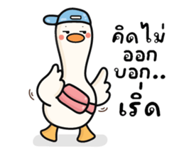 ลายที่ 43