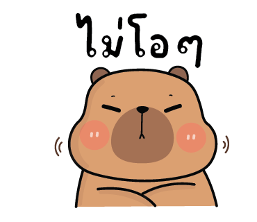 ลายที่ 29