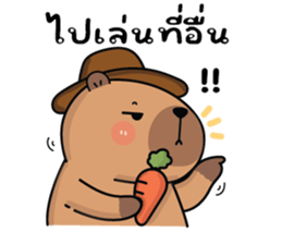 ลายที่ 63