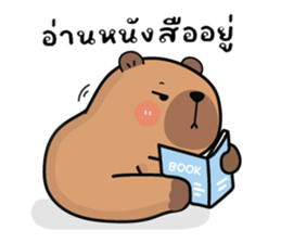 ลายที่ 71