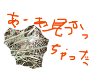 836031356