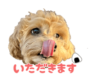 836031510