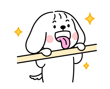 ลายที่ 17