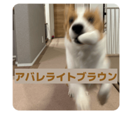 836038710