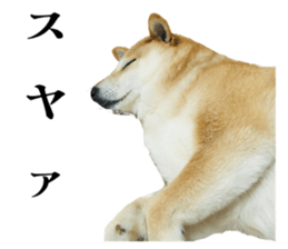 836040646