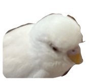 836075993
