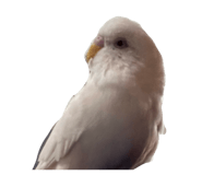 836075994