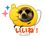 836083434