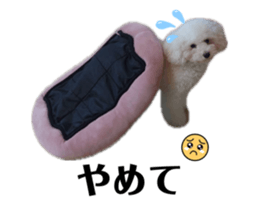 836084150