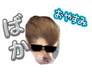 836084758
