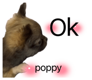 836121355