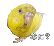 836121945
