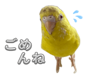 836121954