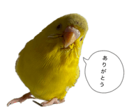 836121955