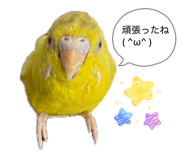 836121957