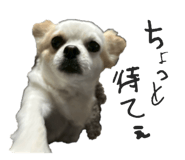 836124162